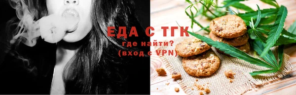 амф Гусев