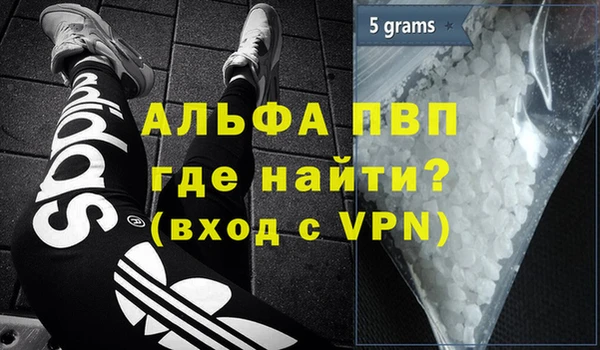 стаф Абинск