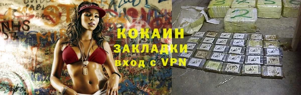 стаф Абинск