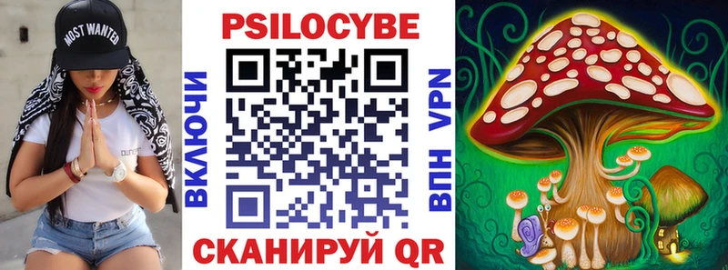 Галлюциногенные грибы Cubensis  как найти закладки  Серафимович 